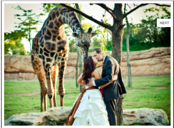 zoo wedding venue
